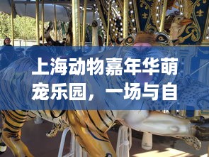 西安萌宠乐园预约攻略
