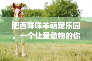 抖音月付200元提现全攻略，手把手教你安全取现