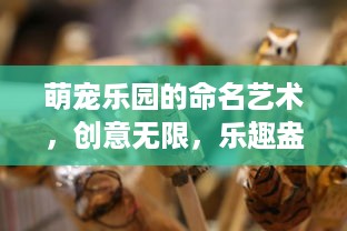 元兮萌宠乐园推荐理由