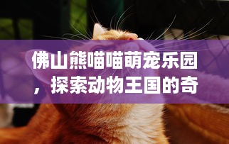 广安逛萌宠乐园是否需要核酸证明