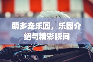 白鹤湖萌宠乐园下车指南