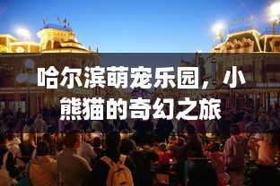 京东白条赏金怎么提现使用 京东白条赏金轻松提现，使用攻略大揭秘！