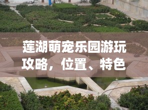抖音月付油卡怎么自己套出来 抖音月付油卡轻松套出攻略，让你轻松享受加油优惠！