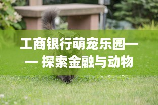 微信分付提现快的办法 微信分付提现快速攻略，轻松搞定，让你钱袋子鼓起来！