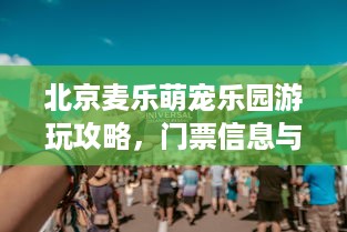 萌宠乐园城堡简笔画教程