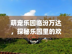 微信分付秒到套出来，安全、便捷还是风险？