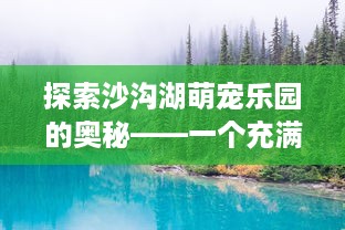 探索安吉萌宠乐园，地址与精彩案例一览