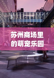 微信分付提现秒到账方法 微信分付提现秒到账攻略，轻松操作，资金秒回！