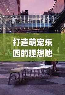 薛城萌宠乐园国庆门票攻略