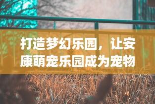 邹城分期乐提现 邹城分期乐提现攻略，轻松搞定资金周转，让你生活无忧！