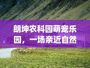 抖音月付在哪能提现 抖音月付提现攻略，轻松变现，你的钱袋子怎么空？