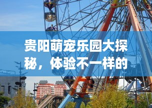 分期乐再次获得提现额度，助力用户资金周转