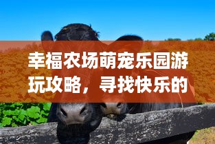 分期乐再次获得提现额度，助力用户资金周转