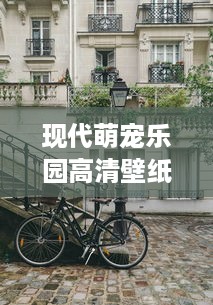 白条闪付正规提现技巧大揭秘！手把手教你安全操作+避坑指南