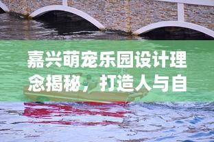 萌宠乐园图案图片简笔画