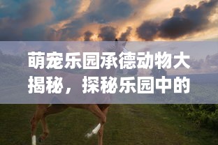 微信分付提现福州怎么提现 微信分付福州提现攻略，轻松操作，资金到账不是梦！