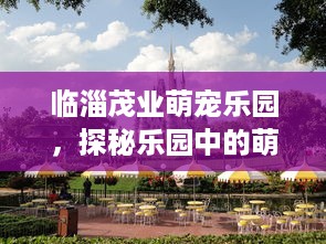 花呗额度提现指南，如何轻松获取花呗额度并提现？