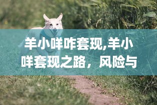 抖音月付在哪里套出来方便 抖音月付隐藏攻略，轻松找到月付套现方法，让你轻松省下一大笔！
