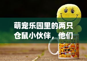 抖音月付在哪里套出来方便 抖音月付隐藏攻略，轻松找到月付套现方法，让你轻松省下一大笔！