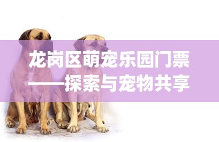 酷酷的滕微信分付提现