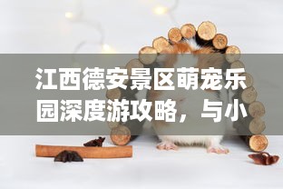 和谐萌宠乐园探秘