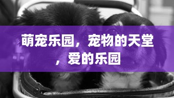 探索中山翠亨萌宠乐园的奇妙之旅