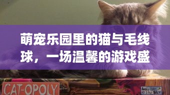 宁夏萌宠乐园设计收费解析