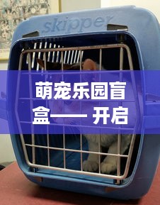 双流萌宠乐园加盟条件一览