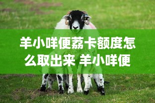 查老公开房信息，安全、便捷还是风险？