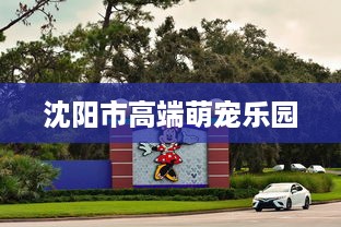 揭秘酒店开房记录查询真相，合法途径与隐私保护指南