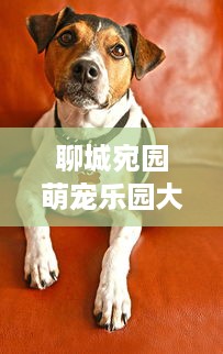 最安全的微信分付提现 揭秘最安全的微信分付提现攻略，让你的钱袋子更安心！