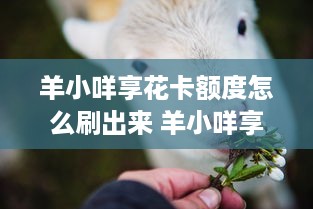 花呗额度取现全攻略，手把手教你灵活用钱