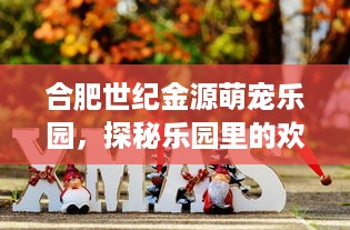 哪里可以查开房记录 揭秘开房记录查询，如何轻松获取他人入住信息？