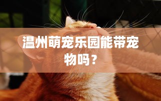 身份证查酒店住宿记录全解析，怎么查？注意事项与案例分享
