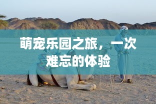 微信分付提现会被系统发现吗 微信分付提现，揭秘系统是否会发现的秘密！