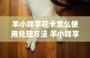 昆明朵拉萌宠乐园庙会盛大开启