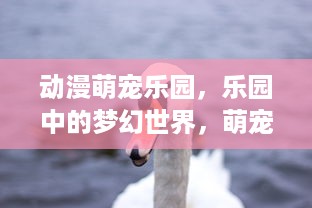 凯奇萌宠乐园体验报告