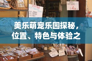 公安局查开房记录 揭秘公安局查开房记录，隐私保护与执法需求的平衡