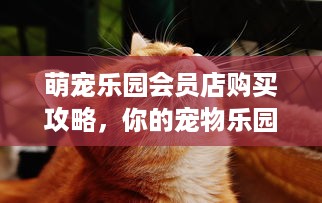 荆门大型萌宠乐园推荐