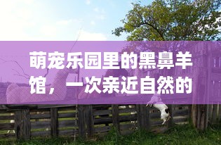 石首西游萌宠乐园探秘