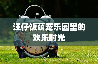 萌宠乐园收费表最新图片，一览无余