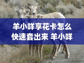 把白条提现到余额，一文搞懂！