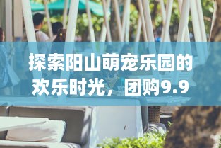 微信会员功能揭秘，能否找回已删除的聊天记录？