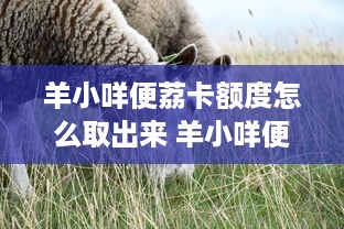承德万达广场萌宠乐园体验指南