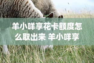 承德万达广场萌宠乐园体验指南