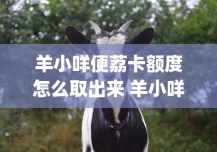 西普萌宠乐园门票价格及游玩体验分享