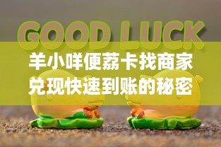 泉州萌宠乐园设计收费概览