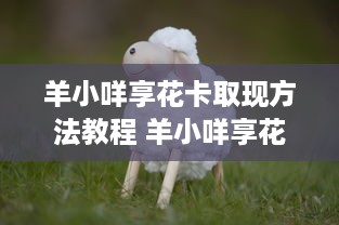 微信分付提现几个点 微信分付提现手续费揭秘，几个点让你明白钱包瘦身真相