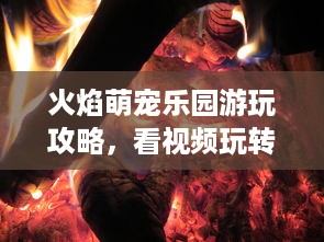 微信分付提现几个点 微信分付提现手续费揭秘，几个点让你明白钱包瘦身真相