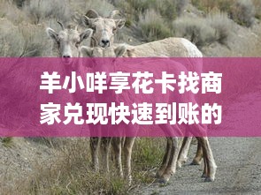 聊城萌宠乐园游玩体验报告